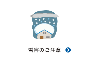 雪害のご注意